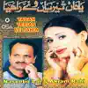 Naseebo Lal & Akram Rahi - Yadan Terian Ve Rahia, Vol. 38